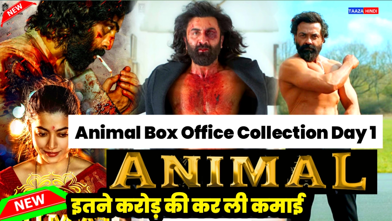 Animal box Office colation